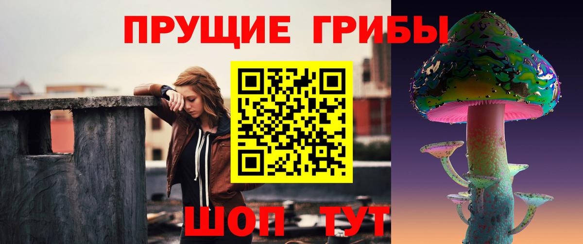 Миллерово  Псилоцибиновые грибы MAGIC MUSHROOMS  Вход с VPN 